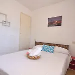 Rnet - Estrella De Mar Santa Margarita